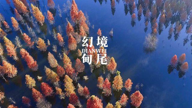 1995属猪最佳结婚时间
