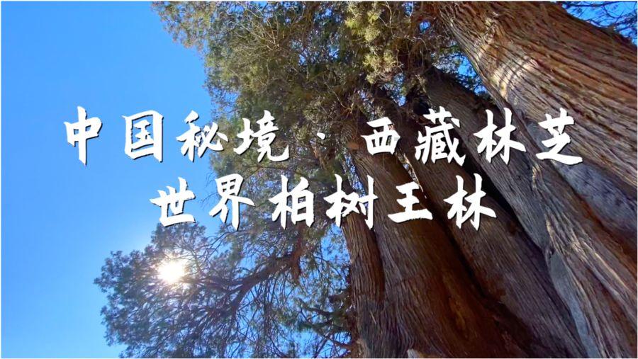 浦东建设10.04%涨停，总市值74.42亿元