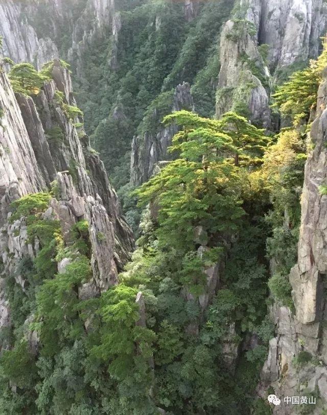 中国校服