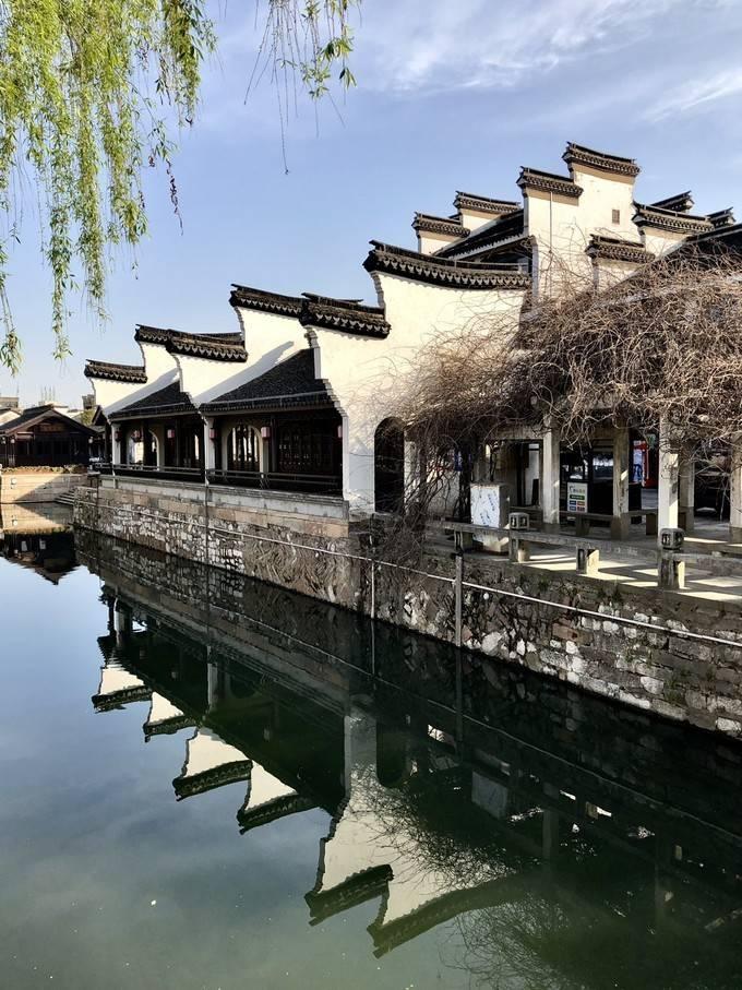 十四师昆玉市40%的枣园完成提质增效改造